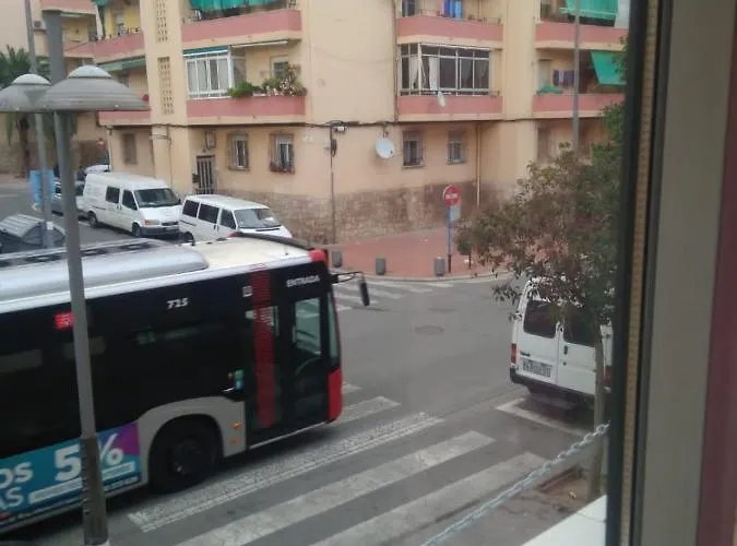 Carniceria Alfath Alicante